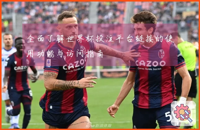 全面了解世界杯投注平台链接的使用功能与访问指南