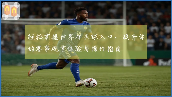 轻松掌握世界杯买球入口，提升你的赛事观赏体验与操作指南