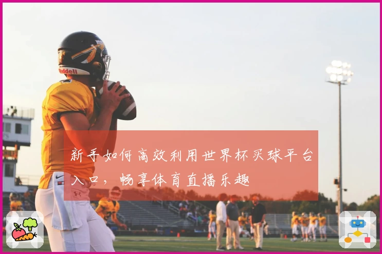 新手如何高效利用世界杯买球平台入口，畅享体育直播乐趣