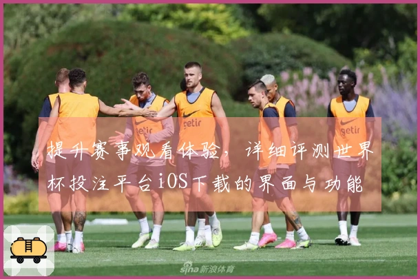 提升赛事观看体验，详细评测世界杯投注平台iOS下载的界面与功能
