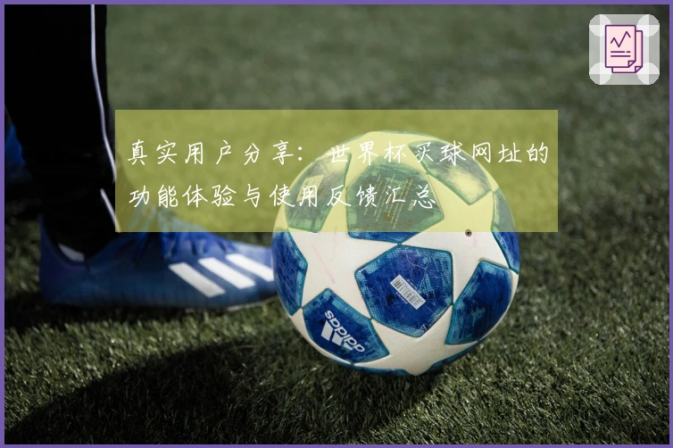 真实用户分享：世界杯买球网址的功能体验与使用反馈汇总