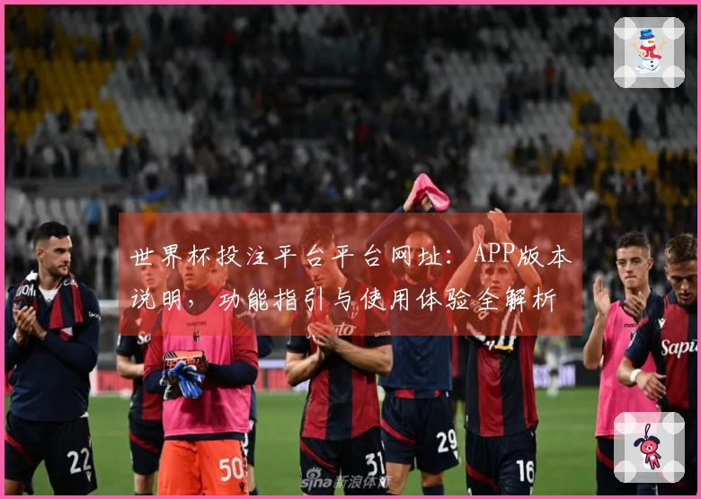世界杯投注平台平台网址：APP版本说明，功能指引与使用体验全解析