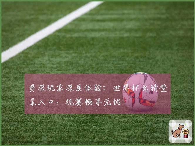 资深玩家深度体验：世界杯竞猜登录入口，观赛畅享无忧