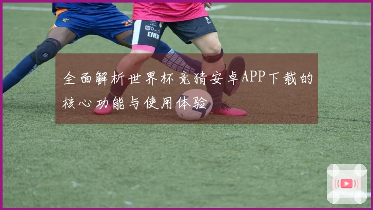 全面解析世界杯竞猜安卓APP下载的核心功能与使用体验