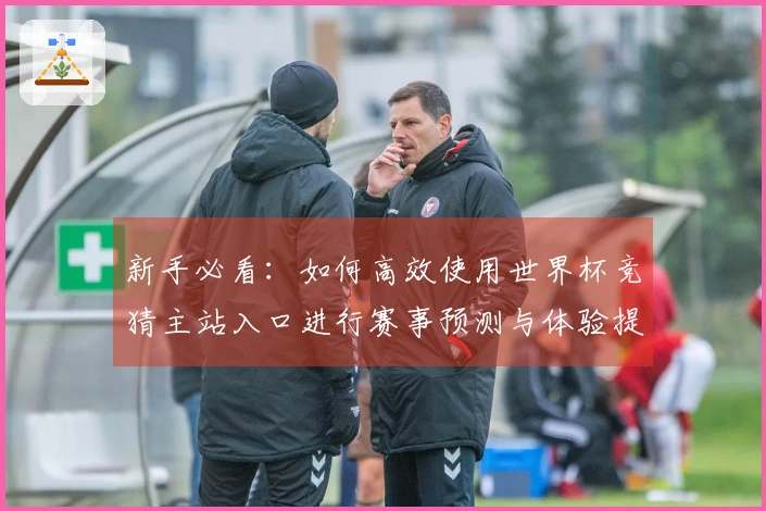 新手必看：如何高效使用世界杯竞猜主站入口进行赛事预测与体验提升-
