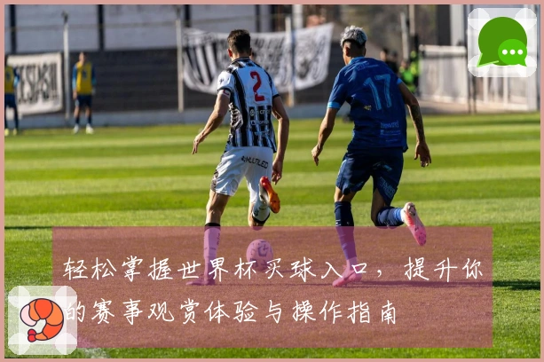 轻松掌握世界杯买球入口，提升你的赛事观赏体验与操作指南