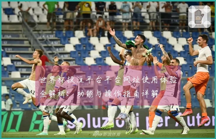 世界杯投注平台平台网址使用体验全解析：功能与操作指南详解
