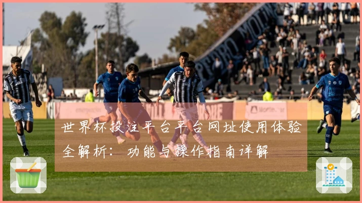 世界杯投注平台平台网址使用体验全解析：功能与操作指南详解