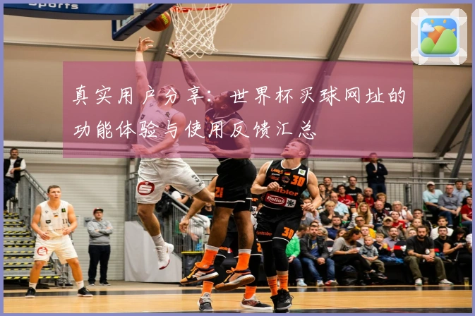 真实用户分享：世界杯买球网址的功能体验与使用反馈汇总