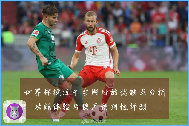 世界杯投注平台网址的优缺点分析：功能体验与使用便利性评测