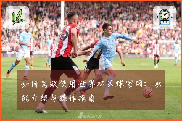 如何高效使用世界杯买球官网：功能介绍与操作指南