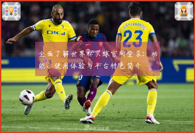 全面了解世界杯买球官网登录：功能、使用体验与平台特色简介