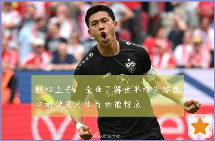 轻松上手：全面了解世界杯买球接口的使用方法与功能特点