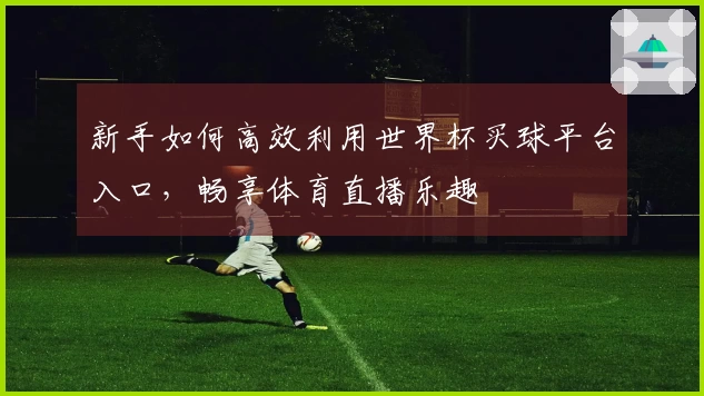 新手如何高效利用世界杯买球平台入口，畅享体育直播乐趣
