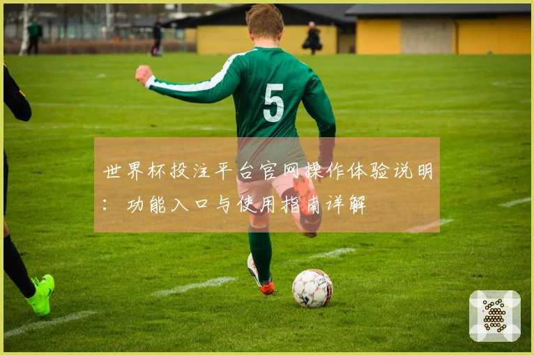 世界杯投注平台官网操作体验说明：功能入口与使用指南详解