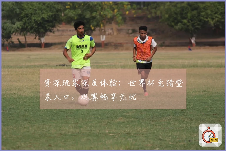 资深玩家深度体验：世界杯竞猜登录入口，观赛畅享无忧