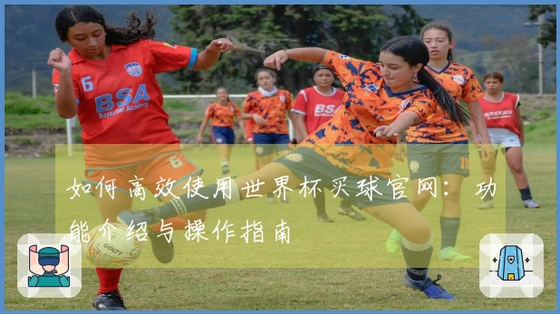 如何高效使用世界杯买球官网：功能介绍与操作指南