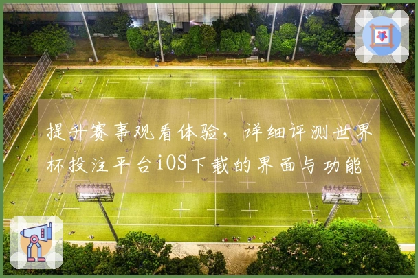 提升赛事观看体验，详细评测世界杯投注平台iOS下载的界面与功能